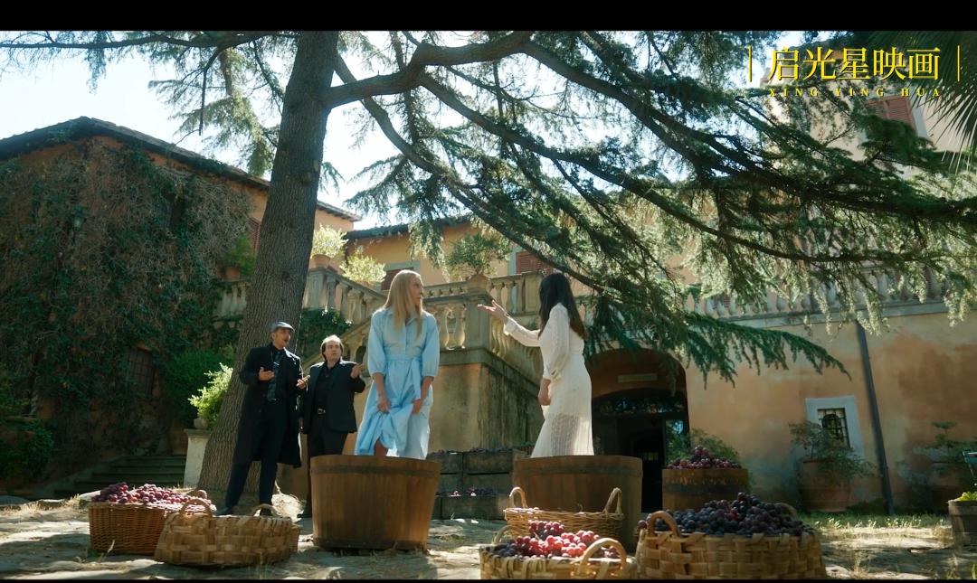 黑帮女老大成长史,黑帮女老大的传奇人生