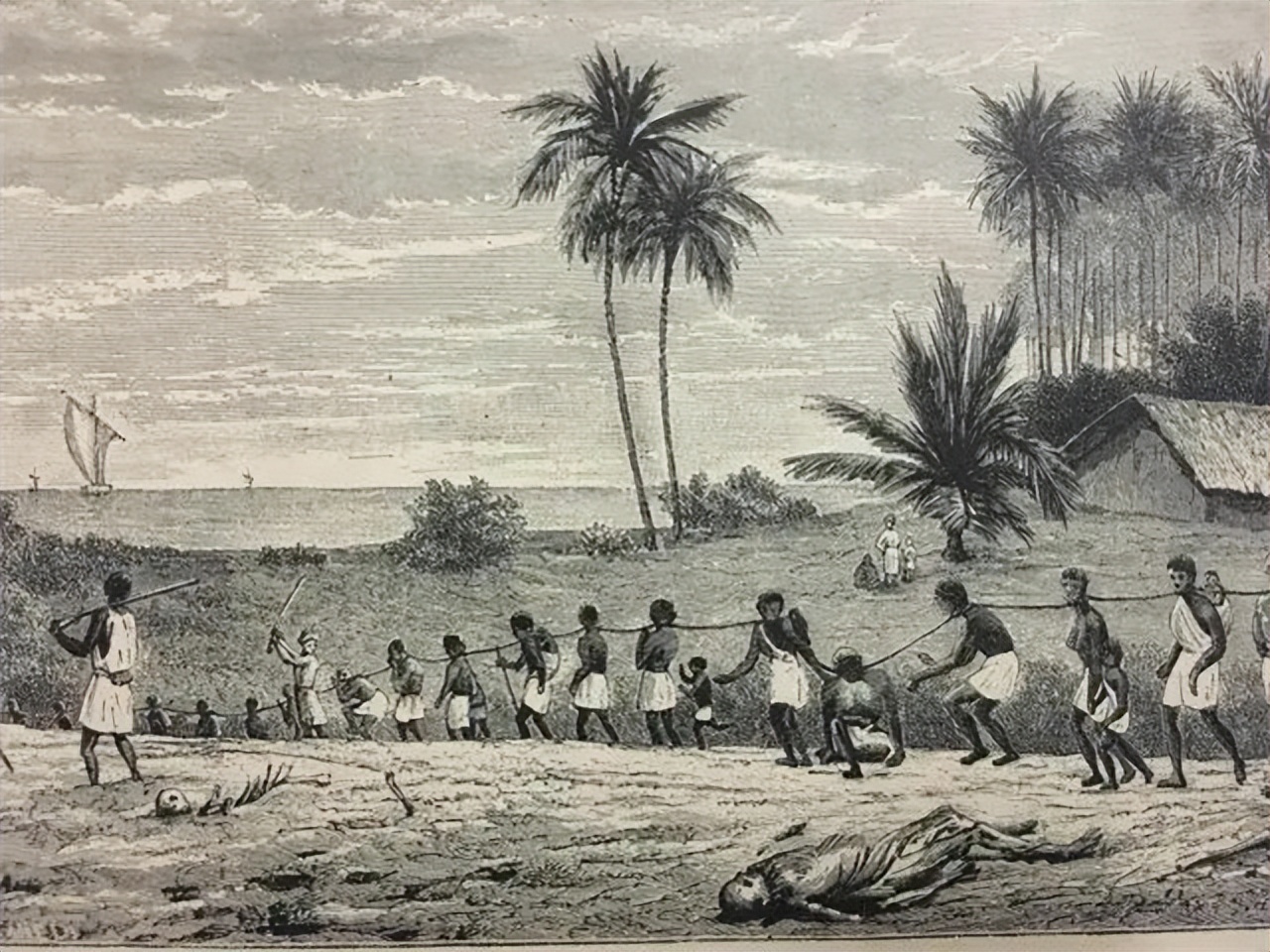 日本说巴西是他们的第二故乡,巴西为什么会成为日本人的天堂