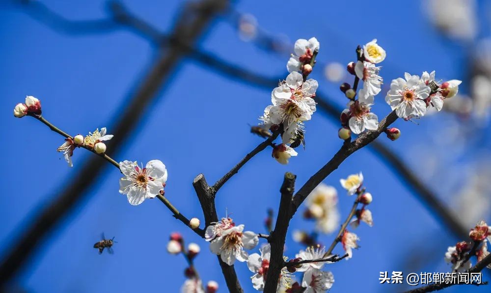 閭兏甯傜鐢ㄦ恫鍖栨皵閫氱煡,閭兏涓數娲查檯渚涚儹鎶ュ仠鎵嬬画