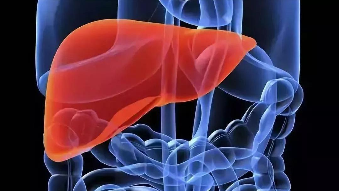 早醒睡不着怎么调理,早醒睡不着吃什么药好