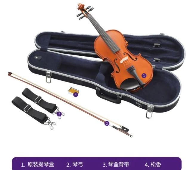 十大顶级小提琴,性价比高的小提琴推荐