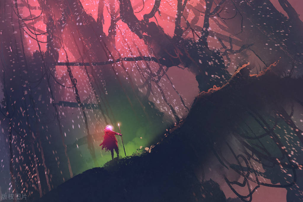 探索财富森林：神秘投资树带来的惊喜