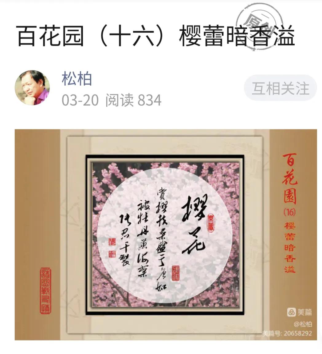 百花园（十六）樱蕾暗香溢