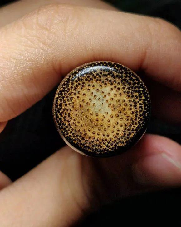 这届玩友已经“废”了，自制文玩之路越走越远，臭哄哄也能玩？