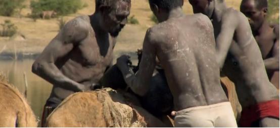 非洲的盐有多贵？200斤盐能换五头牛，但采盐工的艰辛难以想象