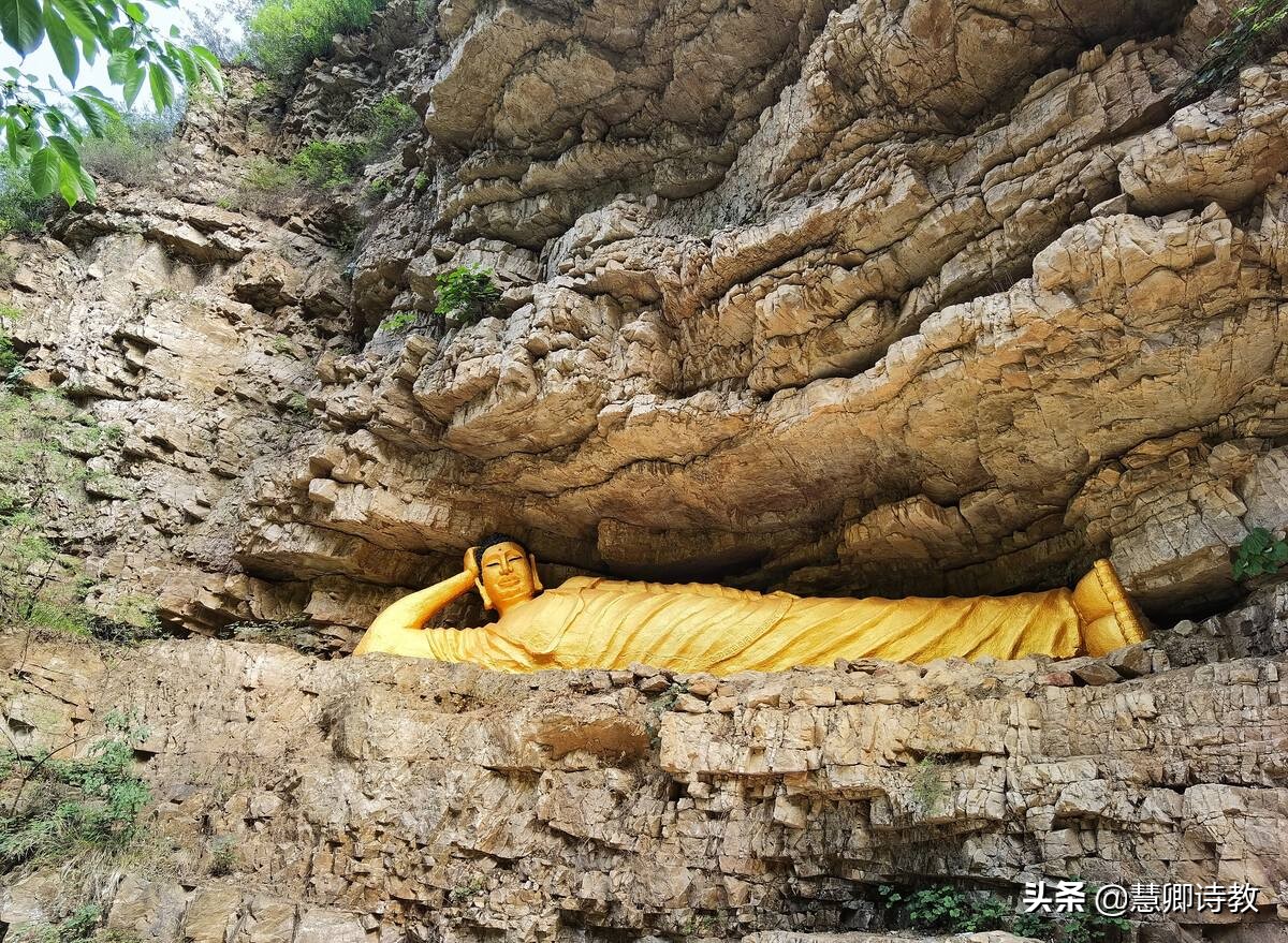 四年级下册语文习作我的乐园范文,四年级下册我的奇思妙想习作范文