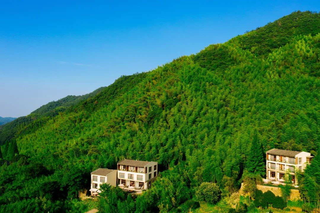 莫干山民宿天花板体验之旅,藏在莫干山间的民宿真的太美了