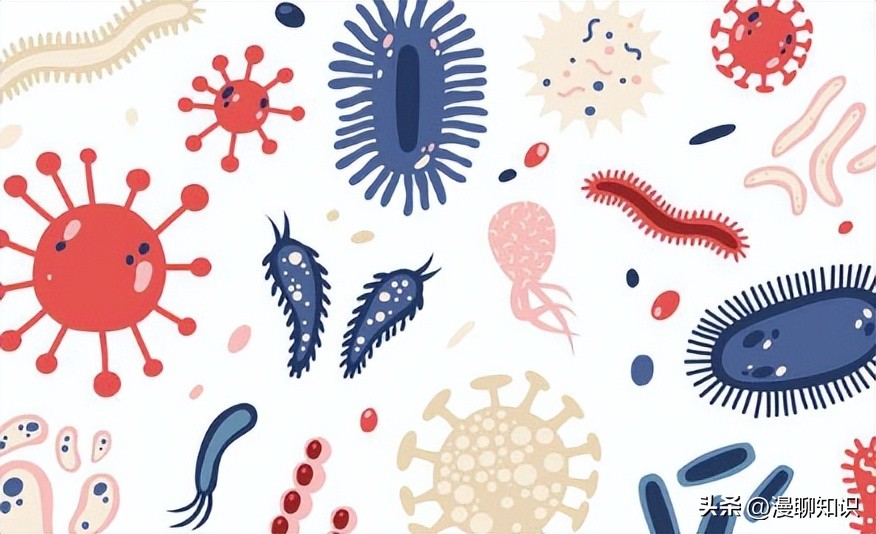 猫会感染人的疾病的图片,猫病毒检测cpr可以测出什么病毒