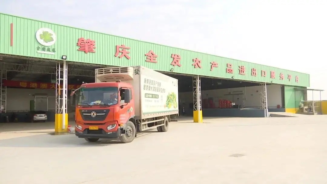 总投资超600亿肇庆11个重点项目,肇庆最新投资5亿元