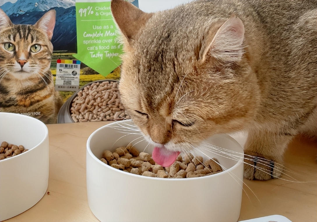新西兰k9猫主食湿粮,k9冻干猫粮幼猫