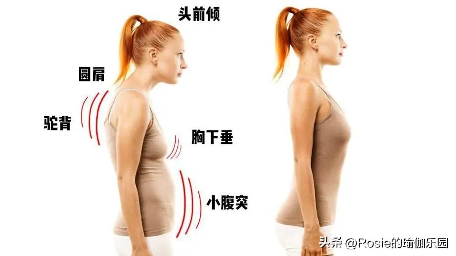 金靖腹肌训练视频,金靖晒腹肌怎么做到的