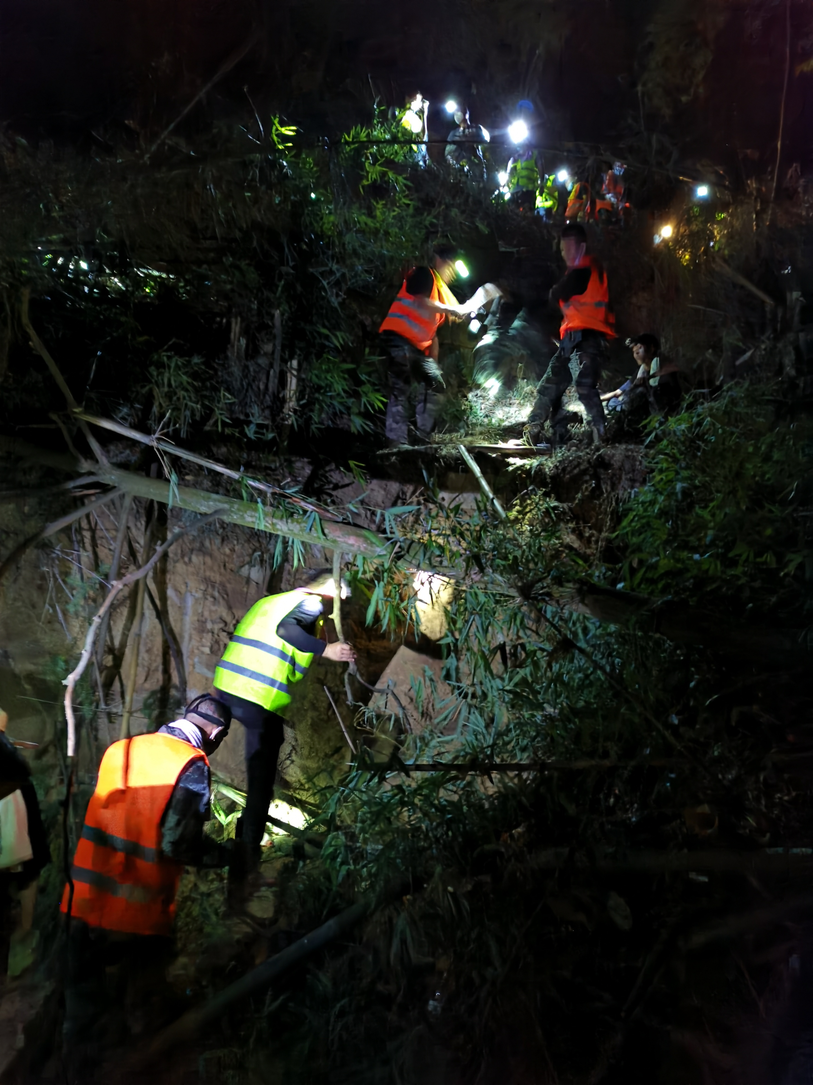 重庆北碚区山火扑救情况现场直播,重庆山火扑救情况表