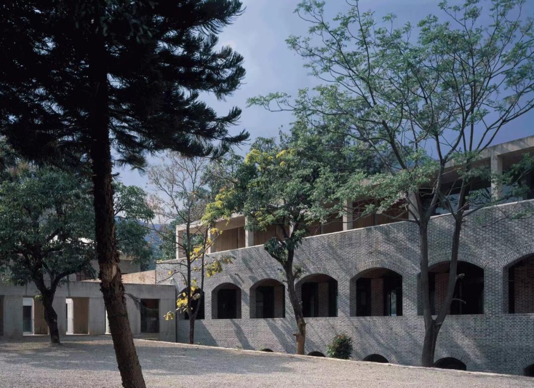 春天里的保山：连锁品牌、线上平台与返乡青年如何改变保山咖啡