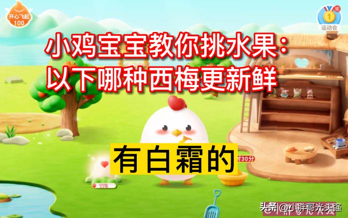 小鸡宝宝教你挑水果：哪种西梅更新鲜？蚂蚁庄园小知识