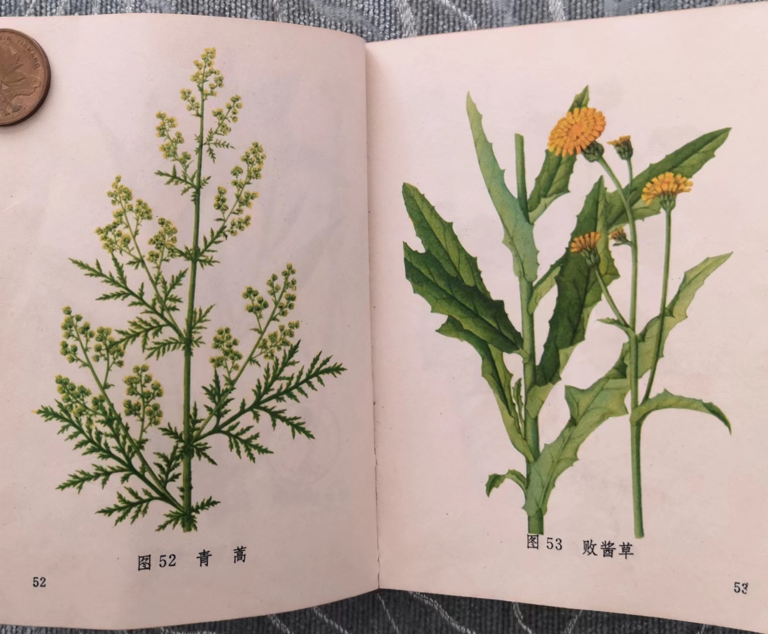 屠呦呦在四川找抗疟疾方子,屠呦呦关于青蒿素的文章