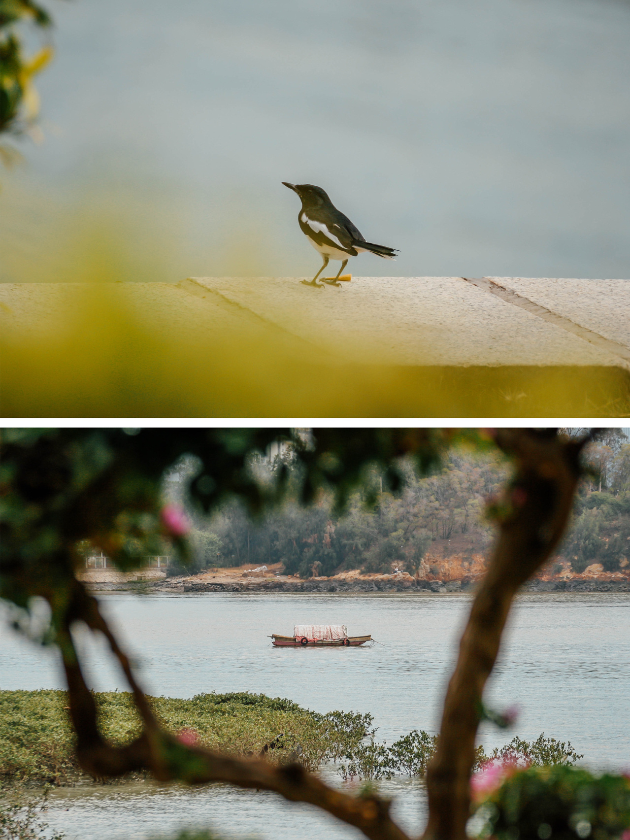 150左右的二手相机,佳能二手性价比高的单反相机