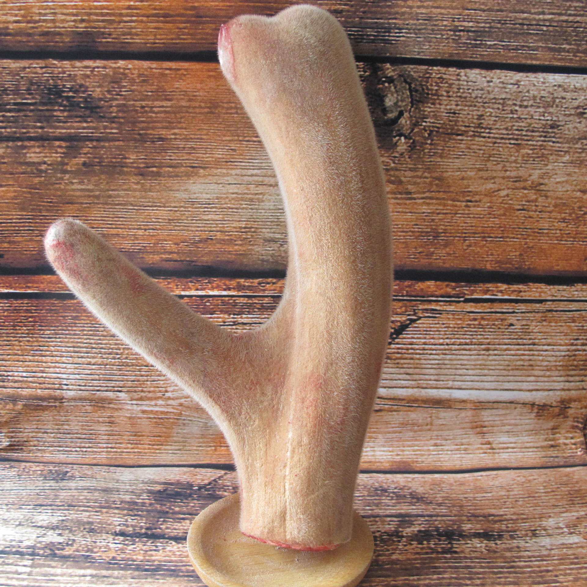 为什么鹿肉没有传统肉,鹿肉为什么那么好吃