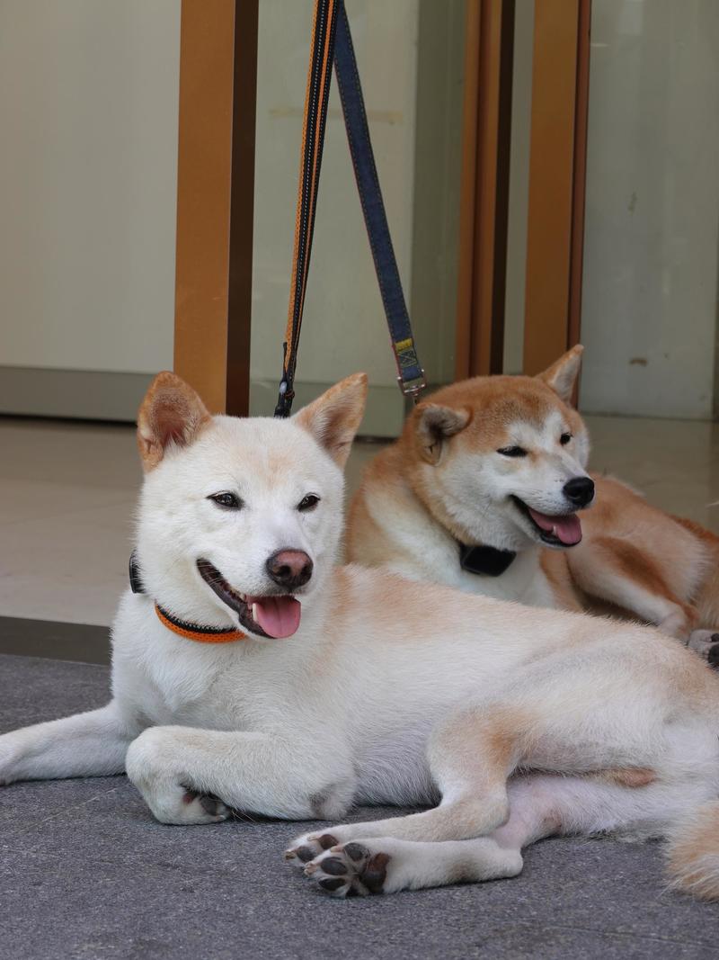 深圳ENJOY｜城市漫游指南·蛇口