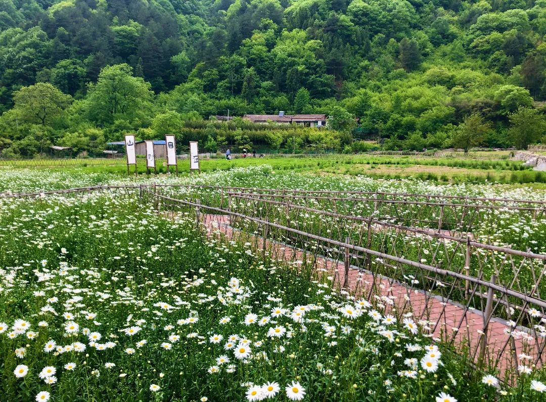 这才是清凉夏天的打开方式,清凉一夏夏天的正确打开方式