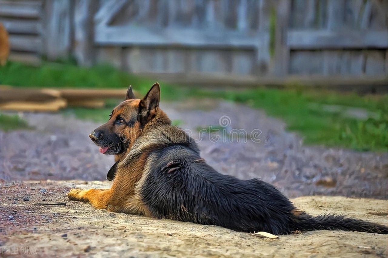 德国国家游，科普文化知识