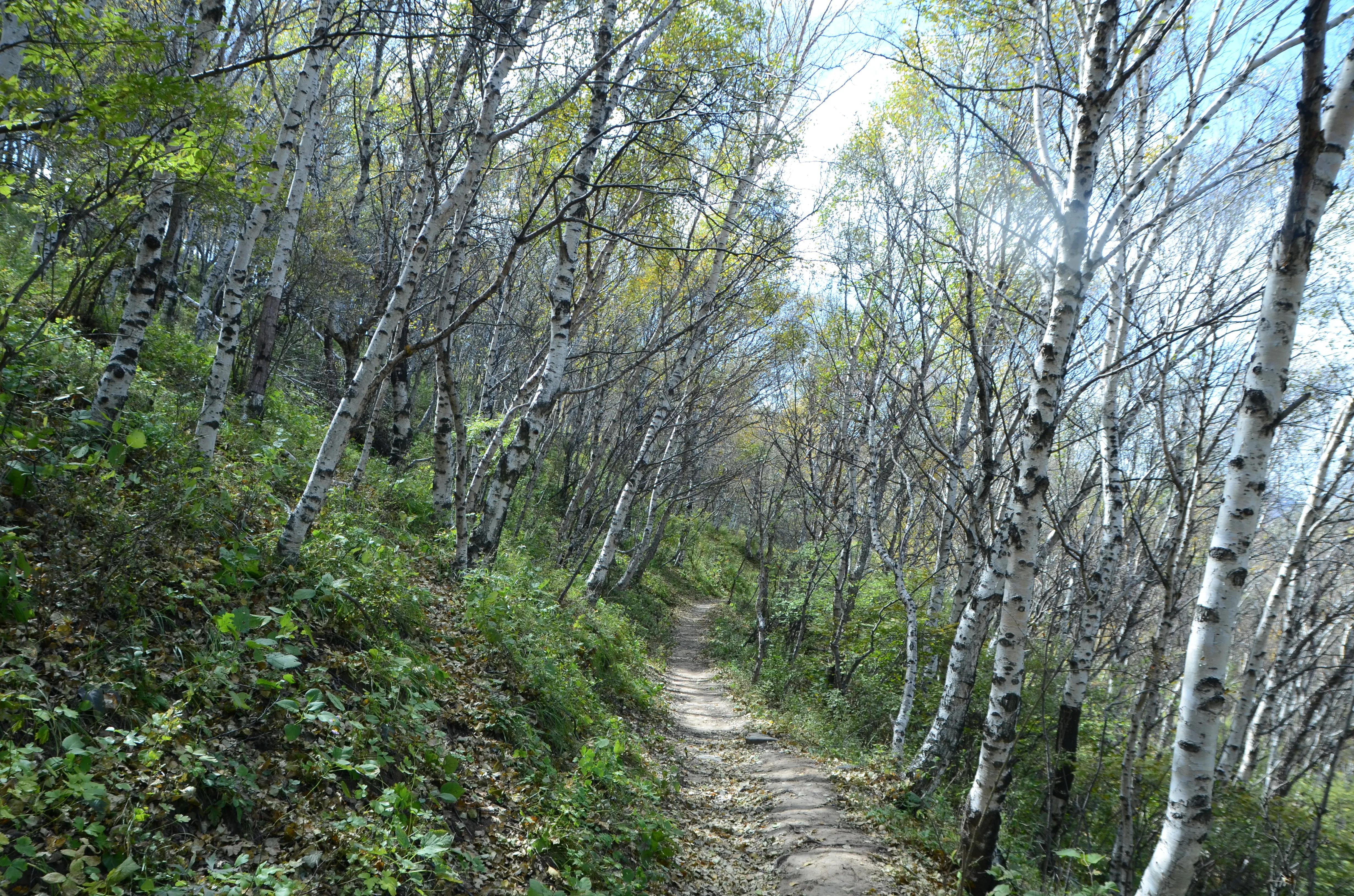 小五台山震撼,小五台山景区最新视频