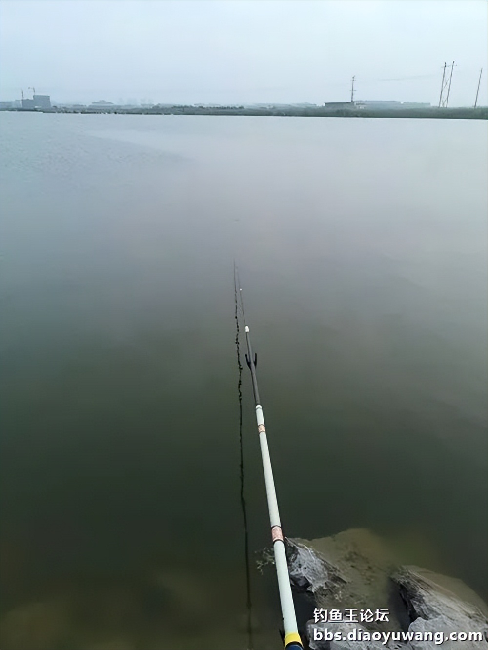 夜钓沙坑钓鱼视频大全,首钓