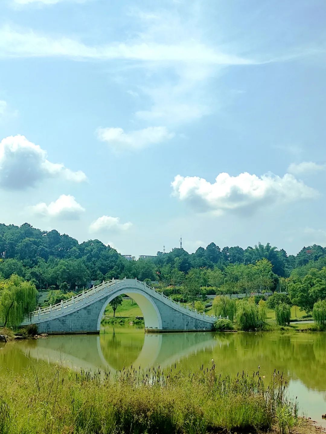 韶关适合带小朋友玩耍的地方,韶关亲子游最佳免费地方