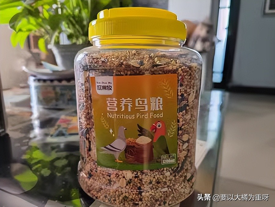 文鸟新手入门鸟粮推荐,养鸟必备的10种鸟粮