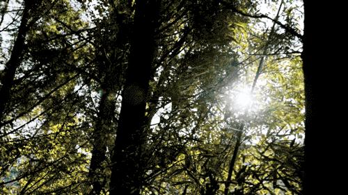 裸辞女教师云南,辞职女教师隐居山村多年