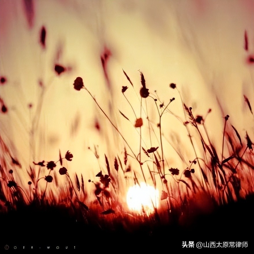 公司章程可自由约定的23个重要事项