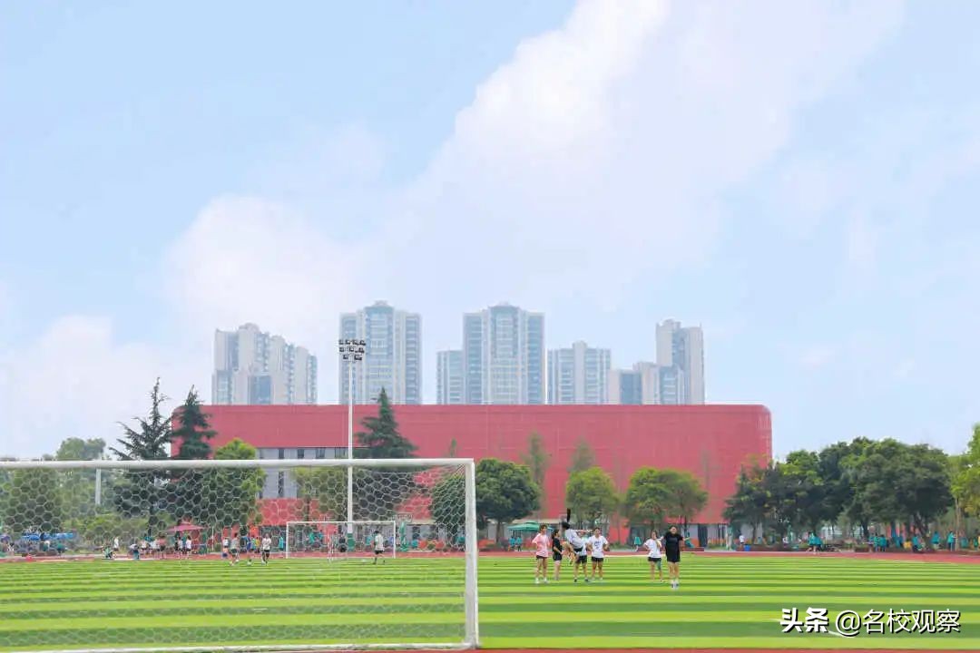 双流艺体特长生招生条件,双流艺体中学2024年艺体特长生