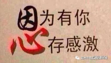 企业文化都包含哪些,企业文化有哪些文化主题