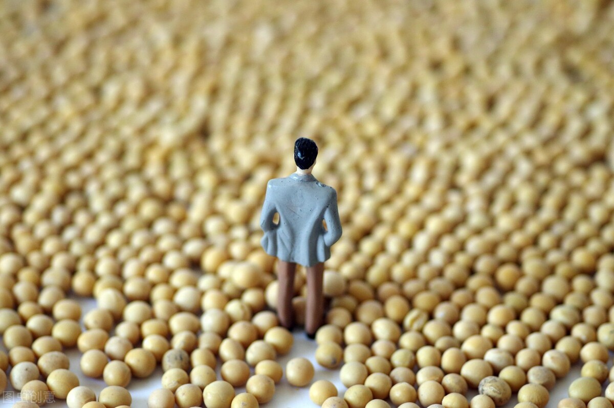 大豆价格预测尽在大豆价格信息网,大豆价格最新7月2号大豆价格行情