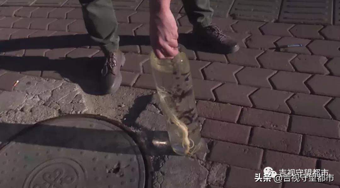 男子2万多买人参,男子2万多买6瓶人参泡酒