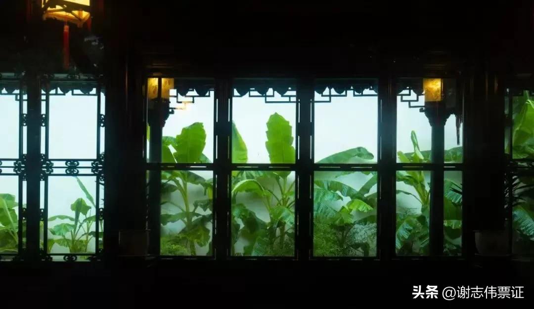 苏州古典园林各个景观特色,苏州园林风景美感极致