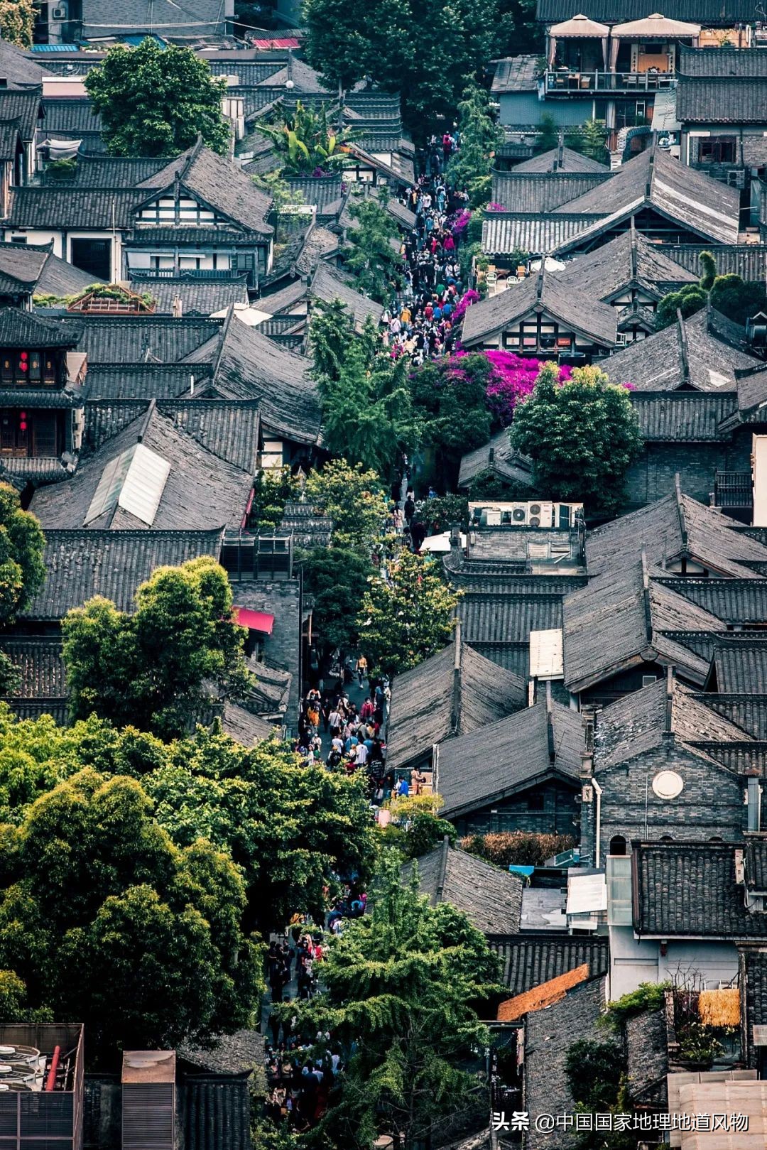 钵钵鸡冷串串家常做法藤椒味,红油串串钵钵鸡凉面