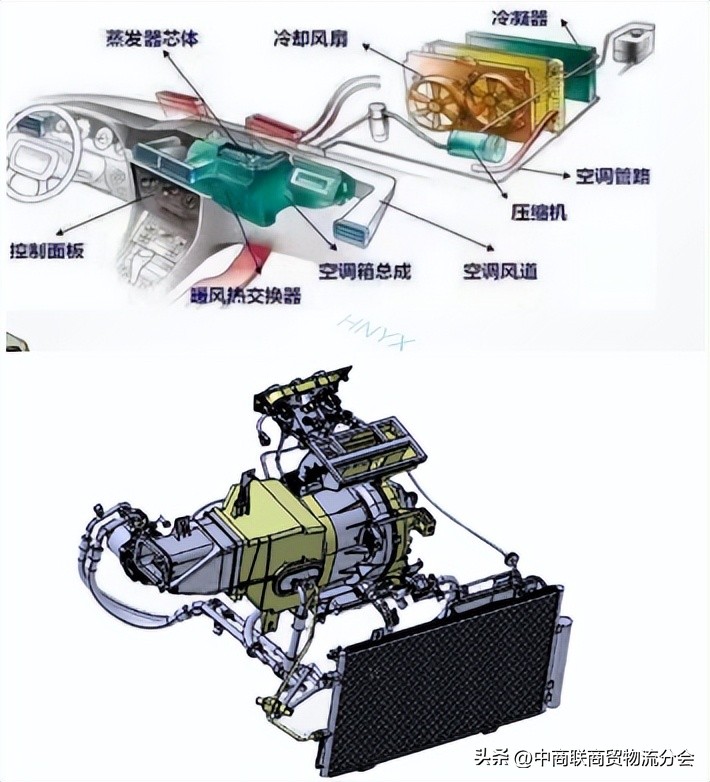 中商联商贸物流与供应链分会秘书长杨添天赴长沙进行调研