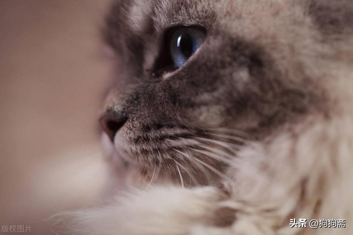 从底层开始小说,底层生活小说全集