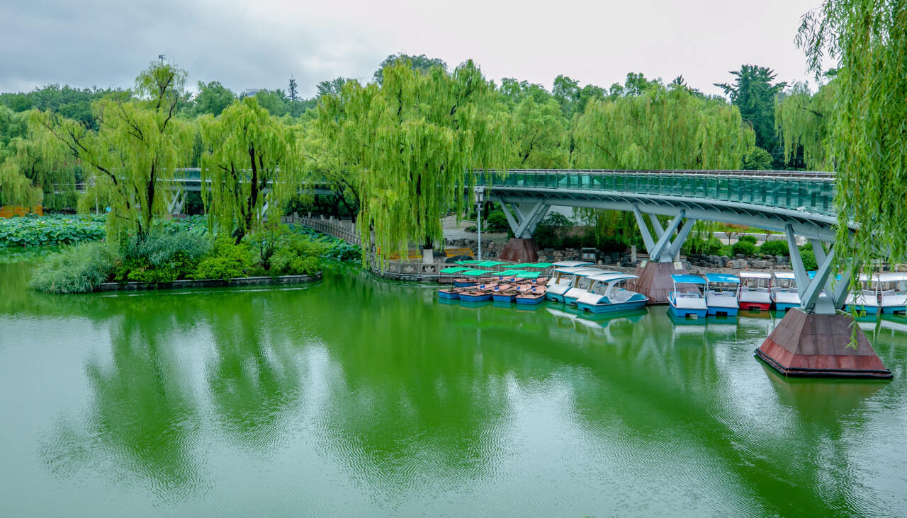 济南体验泉城天然氧吧,济南天然氧免费景点