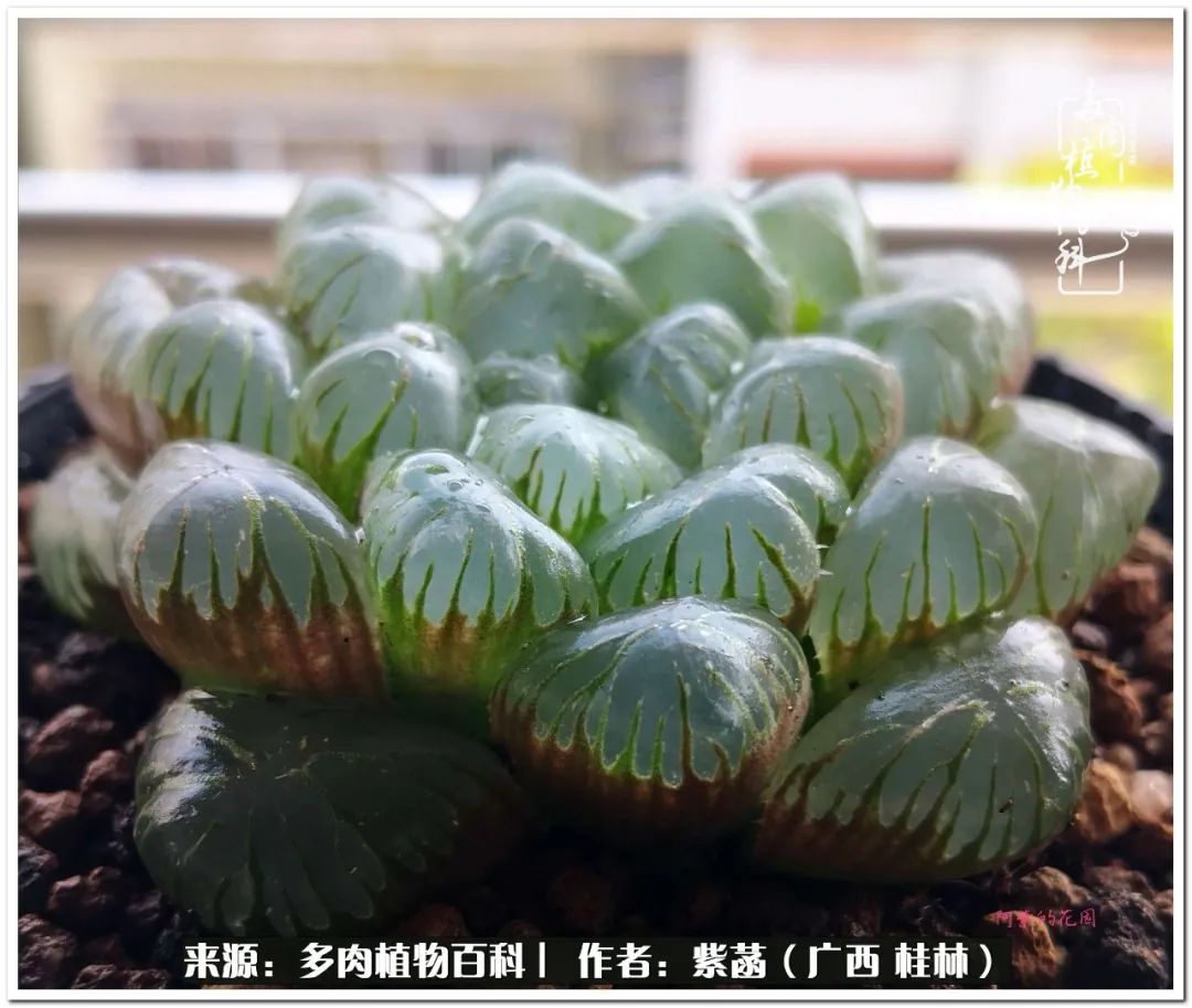 酷暑里的关爱，如十二卷般透亮绵长