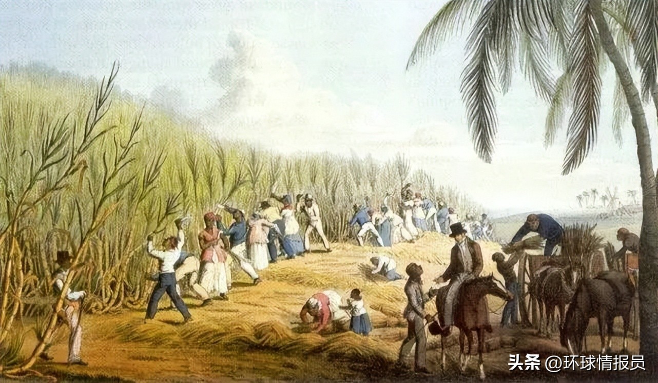 法国和荷兰哪个国家更好,法国和荷兰哪个国家实力强