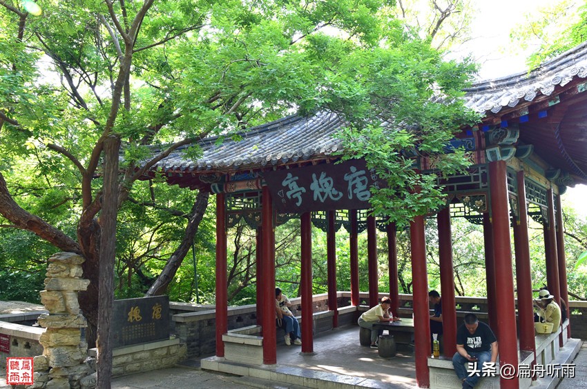 千佛山看济南,千佛山看济南全貌