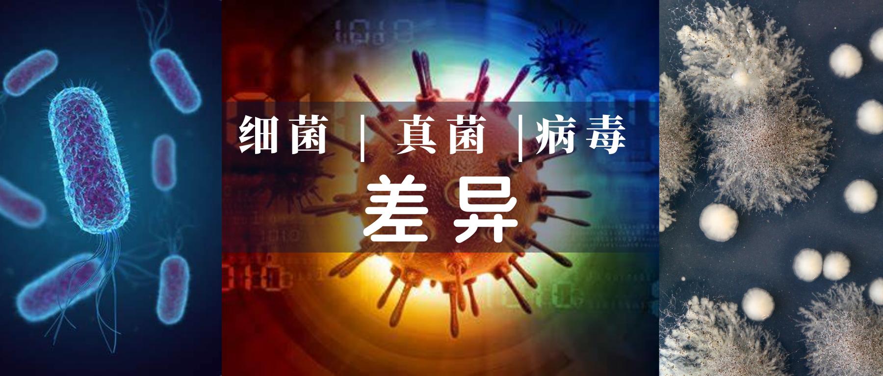 细菌病毒真菌到底哪个感染的厉害,细菌病毒感染与人体免疫