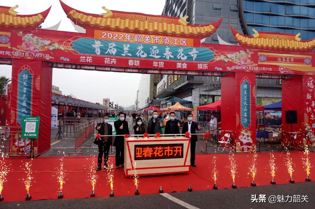 韶关市兰花迎春花市,韶关迎春花市兰花价格