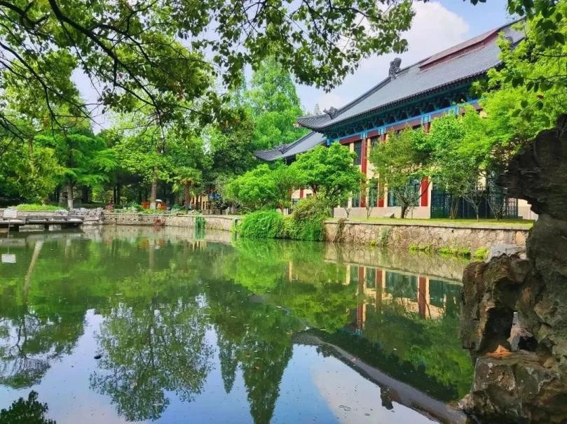 南师大女子排球对北体女排总决赛,南师大女排夺冠