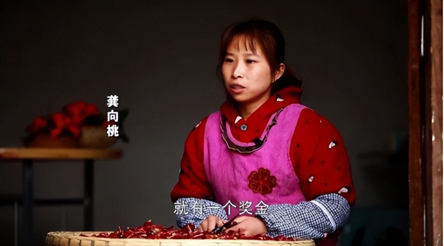 小学辍学没颜值的农村主妇，却被央视表扬，粉丝千万，到底凭啥？