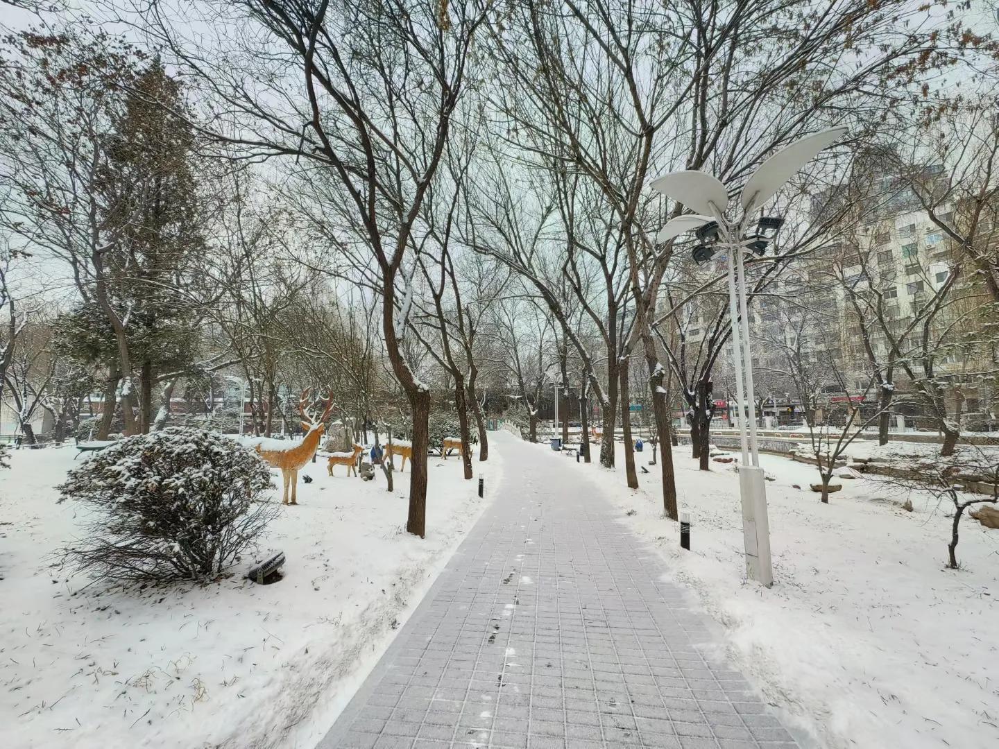 赞抗疫英雄七言律诗,赞抗疫医护诗词