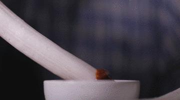 他种的大葱，比姚明高一头