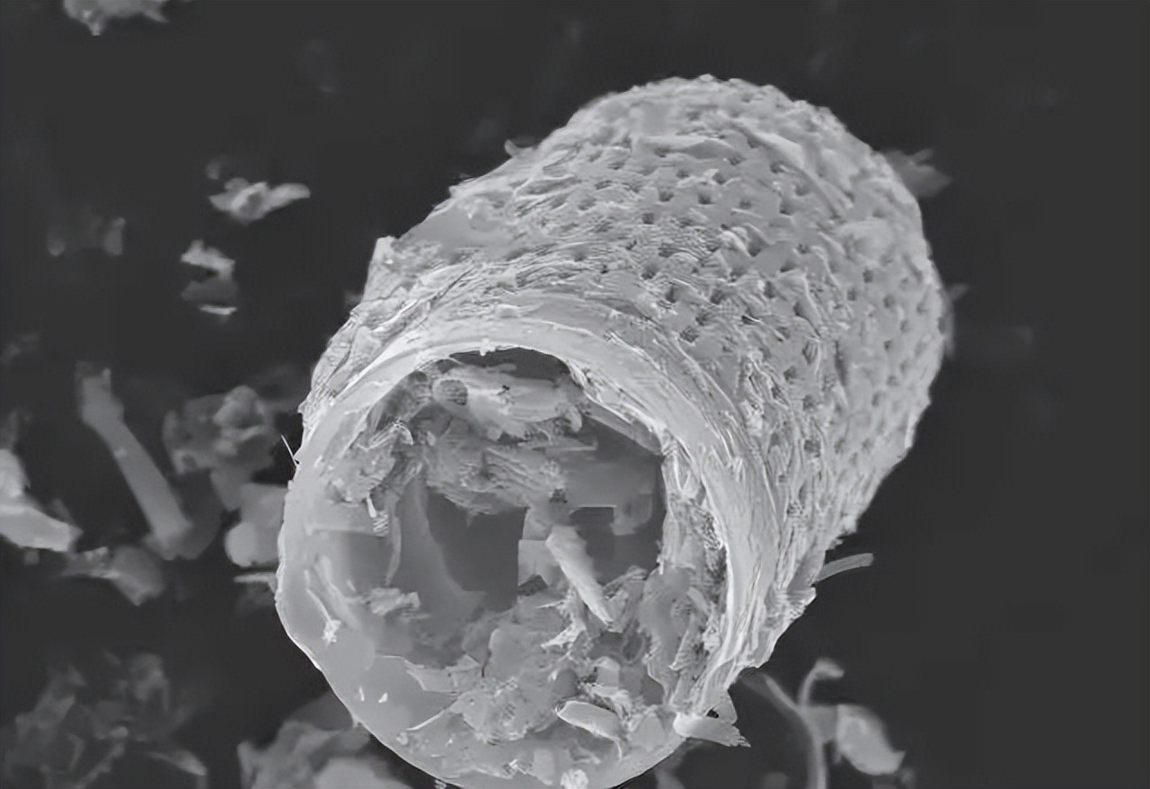 硅藻泥除甲醛骗局,硅藻泥真的被曝光了吗