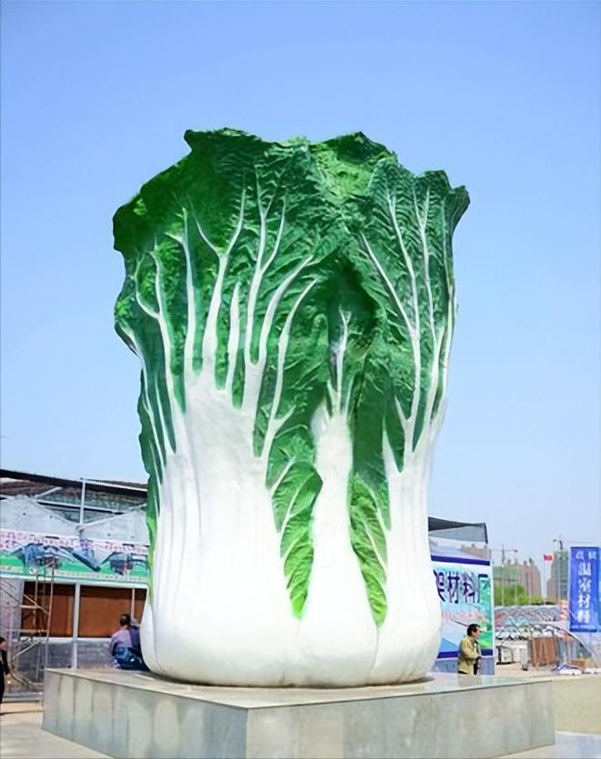 韩国网友发出提问:中国人连泡菜都吃不起,还敢说自己全面小康?